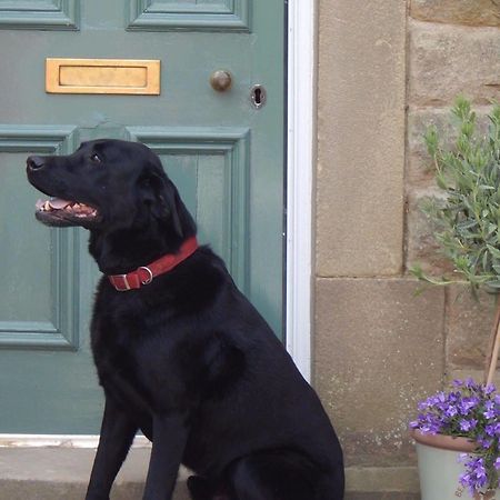 Fern Bank Bed and Breakfast Great Rowsley Eksteriør billede